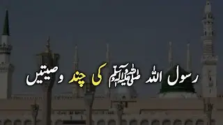 Islamic 💝 Beautiful 💝 Information | WhatsApp 💝 Status | 💝 Hadith Of Prophet'