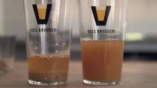 Voss Bryggeri lager Pale Ale med einerlog