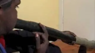 Sublime M*lk*yng*/Napurrawuy F/G yirdaki, played by Adam Marrilaga