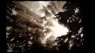 PSYCHOstef SEEDS OF DEATH picture video