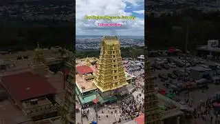 Top 10 palaces to visit in Mysore | Mysore 1 day trip places #travel #trip #karnataka #mysore