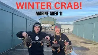 Puget Sound Winter Crabbing: Catch, Clean & Cook Dungeness Crab!