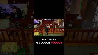 Cuddle Puddle in court&hellip; Sure why not😅🤔 #fyp #fypシ #roleplay #gta5 #fivem