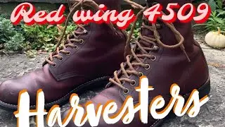 Red Wing 4509 Harvesters. Mesa Oxblood Leather.@RedWing @RedWingHeritage1905