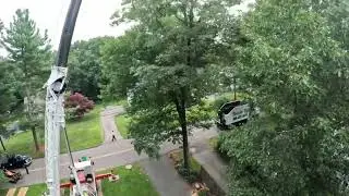 Inside a Tree Removal: Climber, Crane & Drone Views