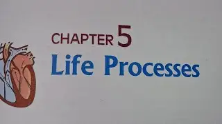 Double circulation of heart || Life Processes || Part-9 || 10th class science biology