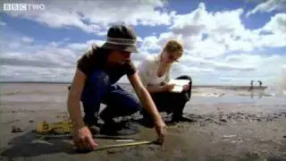 8,000 Year Old Footprints - A History of Ancient Britain - Ep1 - Preview - BBC