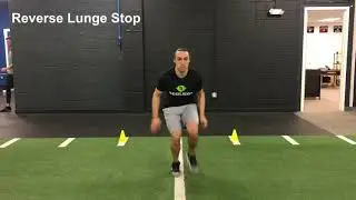 Resilient Performance - Reverse Lunge Stop