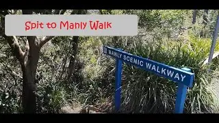 Spit to Manly Walk