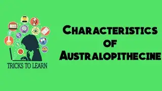 Trick to remember Characteristics of Australopithecine (Anthropology Mnemonics)