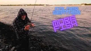 Cold Windy Night Fishing