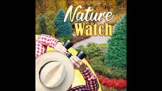 Nature Watch 1/17/26