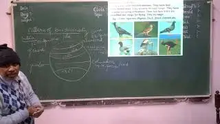 Biology-Distribution of Biodiversity on Earth planet.