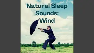 Coastal Wind