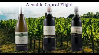 A conversation with Marco Caprai of Arnaldo Caprai