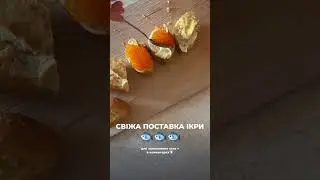 Premium Caviar | Преміум Ікра