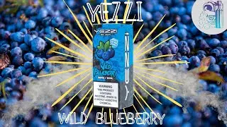 Top Flavor Expert Reveals Why Yezzi Uilta Wild Blueberry is a GAME CHANGER