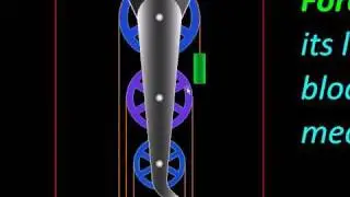Physics with MicroStation Simple Machines Tackle Block