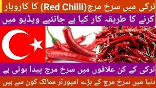 Red chilli Business and trade in Turkey,  Import of Red Chilli and  wholesale setup in Turkey