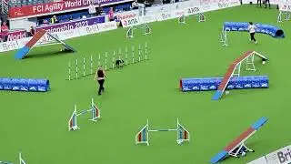 PEEPER 4th place Agility Large Individual KIM BARREAU, FCI AWC 2023