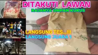UMPAN RAJA🔥UMPAN SEDERHANA YG DITAKUTI LAWAN 🔥TES AUTO MENYALA ABANGKU Langsung Juara Terberat ke 1