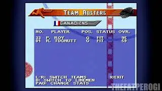 NHL 96 Complete Rosters with All Players, Ratings and Teams! #nhl #nhlrosters #rosters #nhl96 #retro