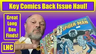 Comic Book BACK ISSUE HAUL⏤There's GOLD in Them There  Long Boxes!