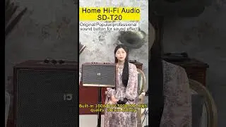 shidu  T20 homehifi speaker