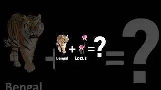 Can You Guess? [Country ]#EP019#short#otherW