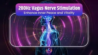 280Hz Vagus Nerve Stimulation | Enhance Inner Peace & Vitality Through Neural Activation