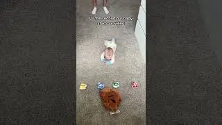 We Let Our Crawling Baby Choose Her Harry Potter House!