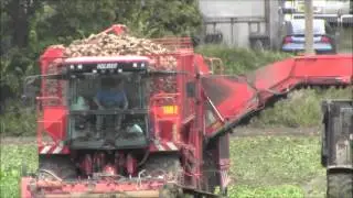 Holmer T3 lifting sugar beet 2012 season.wmv