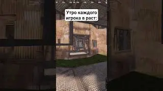 У вас так же? #rust #жиза #shorts