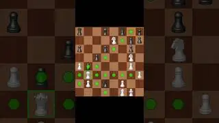 one of the best end game in chess