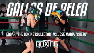 GALLOS DE PELEA #20 | Edgar 