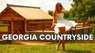 Driving and Eating in Countryside GEORGIA