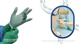 The Ultimate Guide to Partnering with a Reliable Medical Glove Company