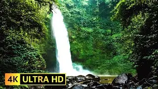Relaxing WATERFALL: Brown Noise and Nature Sounds for Deep Relaxation & Tinnitus Relief