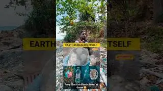 Plastic Awareness Video || Sea Shore #shorts #ytshorts #shortsfeed #viralshorts