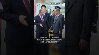 Chinese Premier Visits North Korea For the Ruling Party's 80th Anniversary | N18G