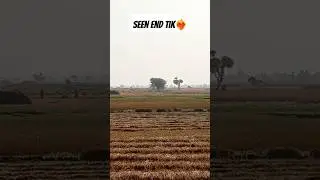 See end 😁🔚 #shorts #ytshorts #trending #capturebeauty