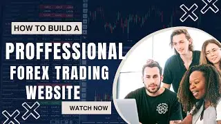 How to Build a Professional Forex Trading Website &ndash; Complete Step by Step Guide