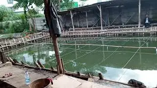 Bgni suasana pemancingan bpk ngadiman di kvlp bawah