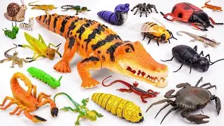 ZURU ROBO ALIVE COLLECTION | UNBOXING Robo Crocodile, RC Anaconda Snake, Insect Compilation |ASMR