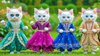 Dudi Dudi Dam Dam 💃💃💃 Cutest  Cat Dancing On Dudi Dudi Dam Dam😺  #dudidudi #dumdum #catdancing