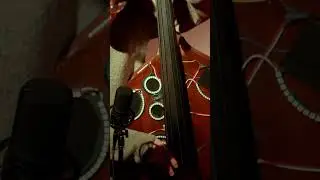 Blending upright bass with sample pads #uprightbass  #bassistsofyoutube