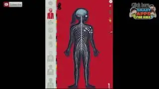 The Human Body by Tinybop Best iPad app demo for kids