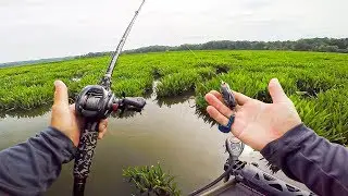 Searching For SNAKEHEAD & Bass In Thick Pads || 50 State Fishing Tour (Potomac River, MD)