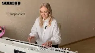 Sudoku Seigo Fully Weighted Digital Piano sound review