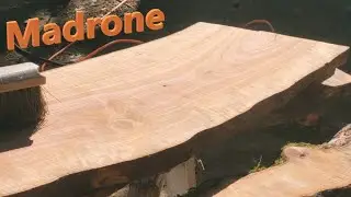 Beautiful Madrone Slabs Cut on the Vintage Western Sawyer - Bandsaw Mill Episode 6 - Madrone Part 2